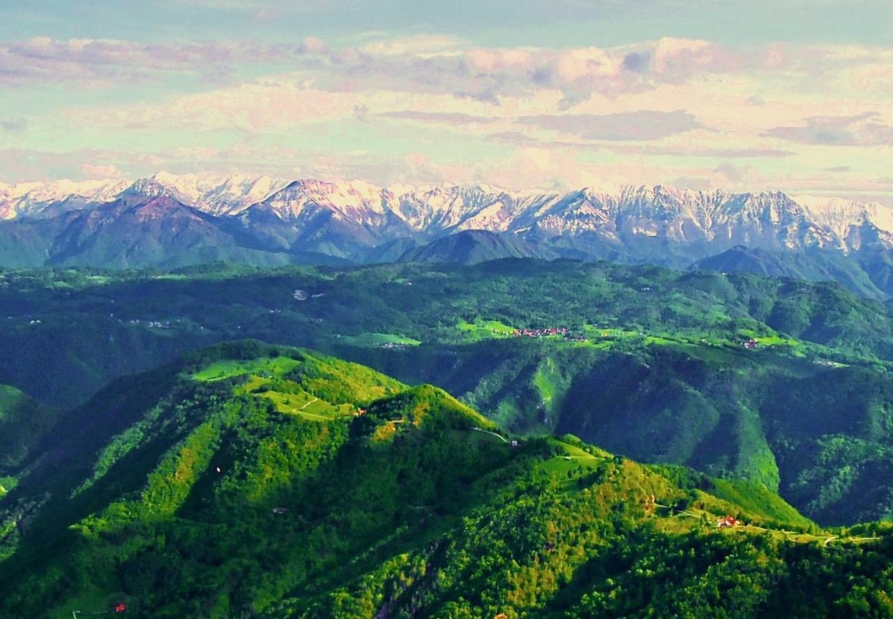 Apartma Alpski Vrt Vojsko Dış mekan fotoğraf