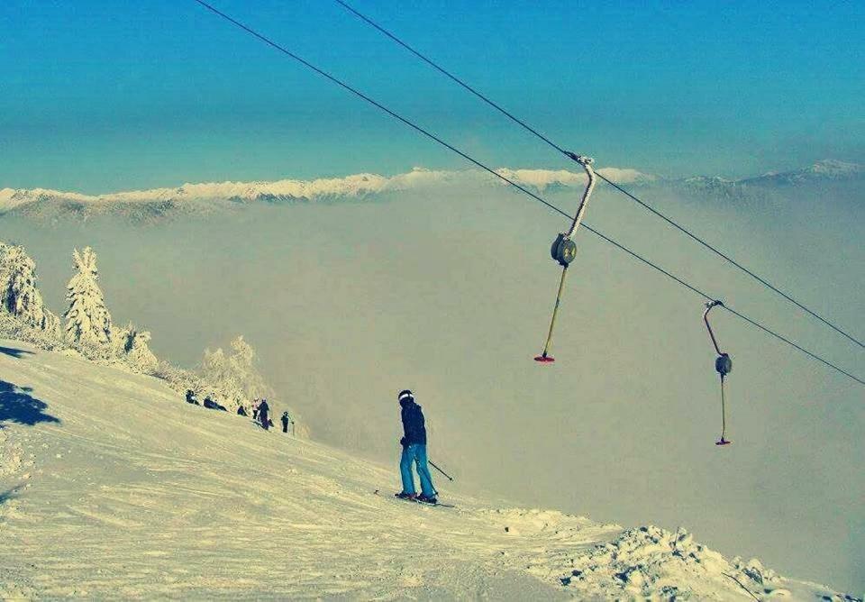 Apartma Alpski Vrt Vojsko Dış mekan fotoğraf