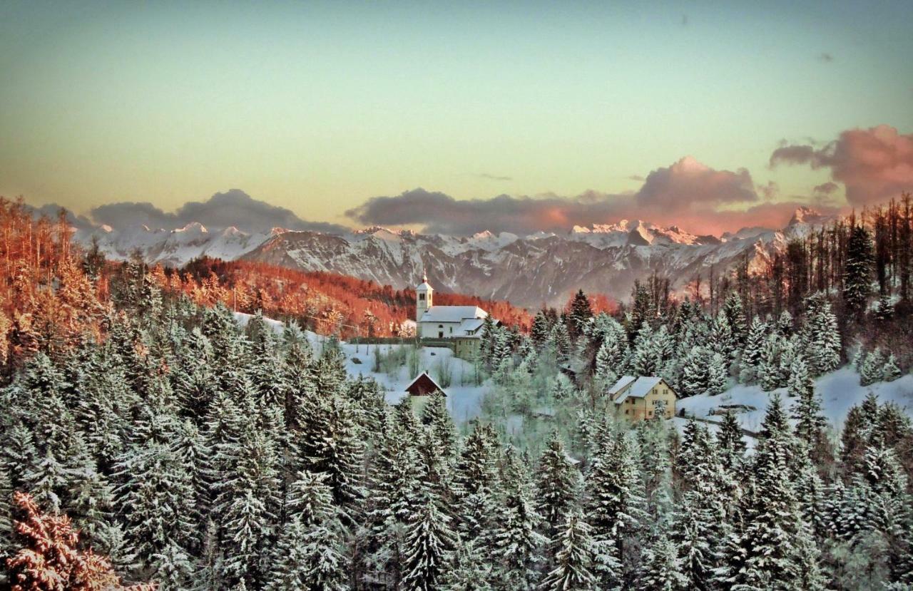 Apartma Alpski Vrt Vojsko Dış mekan fotoğraf