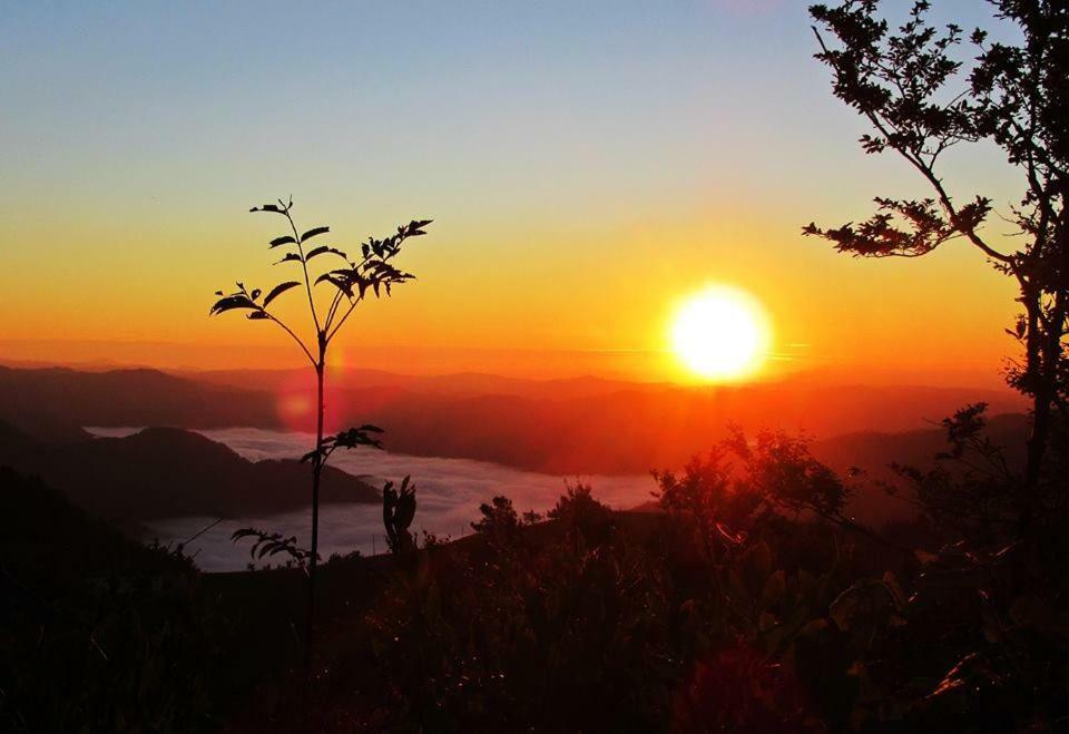 Apartma Alpski Vrt Vojsko Dış mekan fotoğraf
